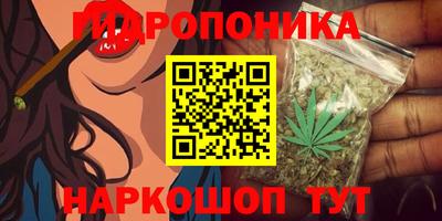 таблы Можга