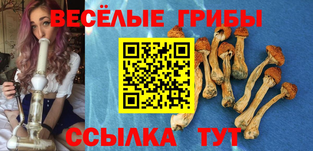 Галлюциногенные грибы мухоморы  Галлюциногенные грибы MAGIC MUSHROOMS  Вход с VPN  Томск 