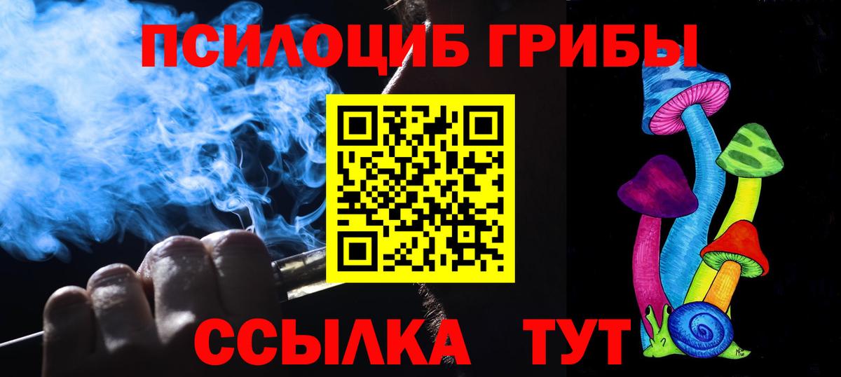 Псилоцибиновые грибы Psilocybine cubensis Томск